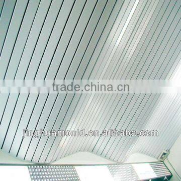 China Custom Cavity Extrusion Mould for PVC Ceiling Board Profile