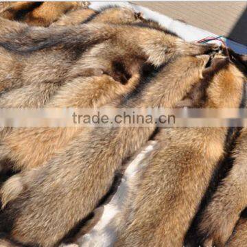 , tanned skin,Nature color whole skin with head and tail, 80-85 cm body length