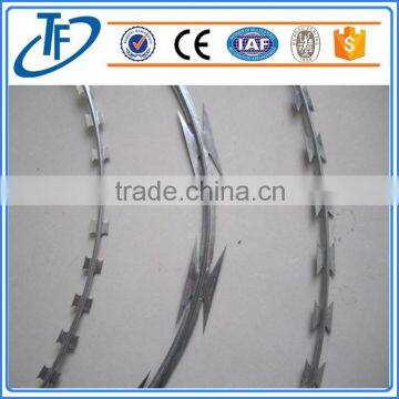 China Wholesale cbt-65\razor barbed wire and cheap price razor barbed wire