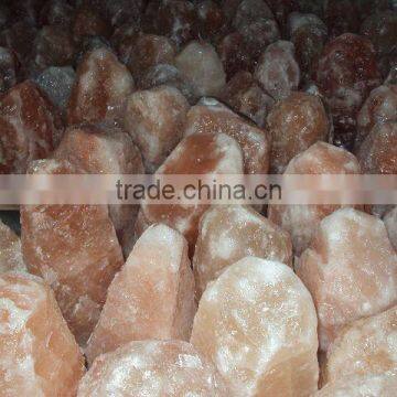 Himalayan Salt Lamp