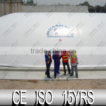 Bottom price new coming biogas holder dome in Thailand projects