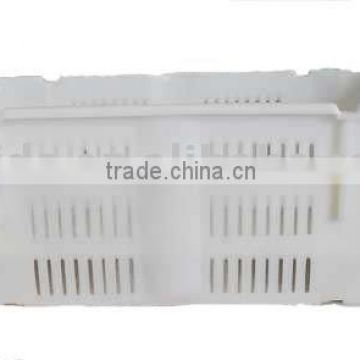 fish plastic crate S-001