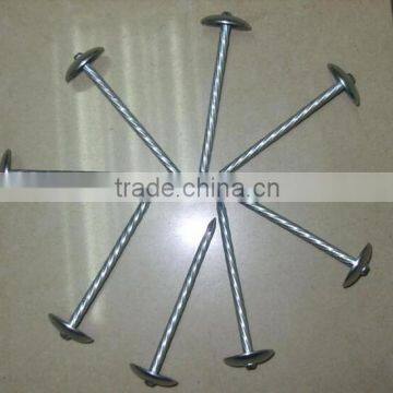 umbrella head twisted shank roofing nails