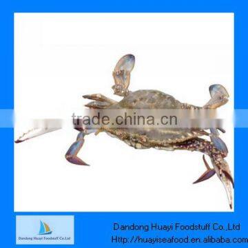 Fresh frozen crab blue swimming crab