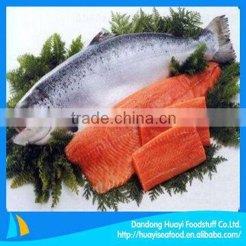 fresh frozen salmon trading companies