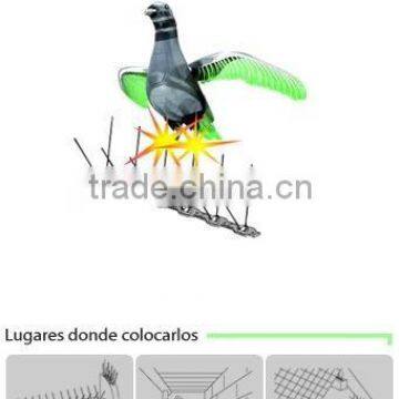 Bird Spikes