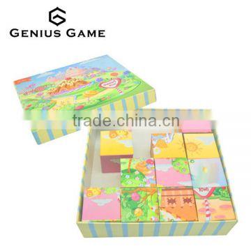 Custom printing plastic block set