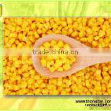 Vietnam Sweet Corn in can