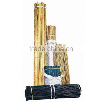 Tonkin Bamboo Stake - Natural Bamboo cane