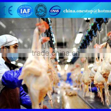 Chicken Slaughter Equipment for Poultry Farm