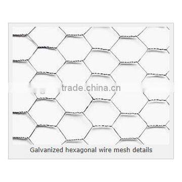 galvanized and pvc coated Hexagonal Mesh (factory)