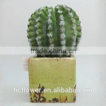 New model small potted plant cactus for home decorations