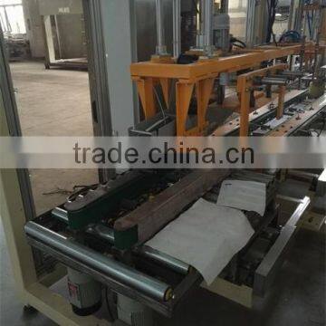 Auto Packer Machine Linear Pick and Place Bag in Carton photo-4