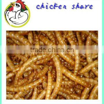 High Protein Pet Food dried mealworm