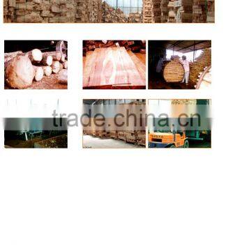 Sawn Timber Rubber Wood/ Vietnam Rubber Wood Timber