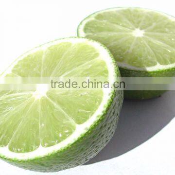 Fresh Seedless Lime Green Skin