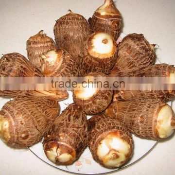 New Coming High Quality China Fresh Taro Taro Root with Low Price