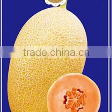 Classical-Top Quality Hybrid F1 Hami Melon Seeds For Growing