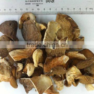 dried oyster mushroom for sale oyster mushrooms 1kg dry