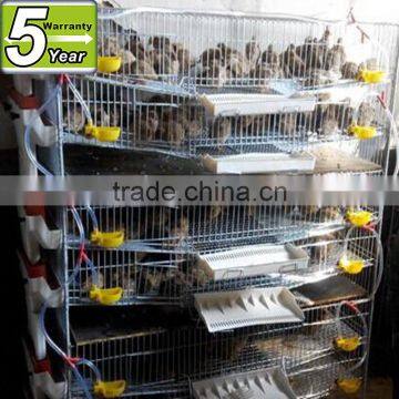 iron quail cages