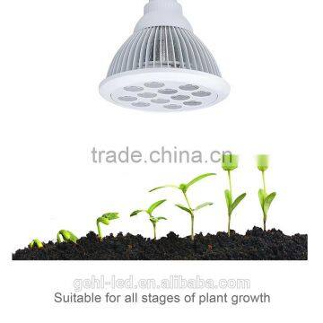 2017 Salable 12W Led Light For Indoor Plant From Shenzhen Factory photo-2