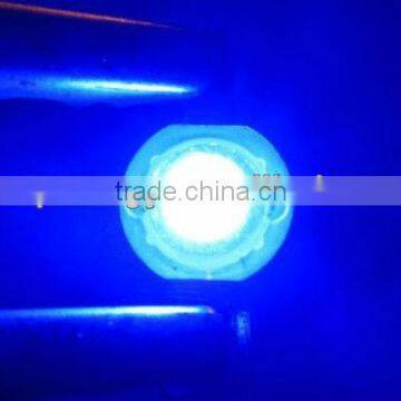 Hot Seller Grow Light Led 450nm 1w /465nm Blue Led/1w Led photo-2