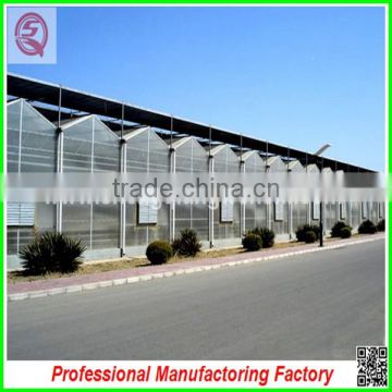 Large and practical PC sheet multi-span greenhouse with professional manufacturer