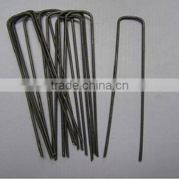 Sod Staples