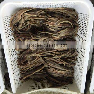 New Season Salted Anchovy Fillet photo-5