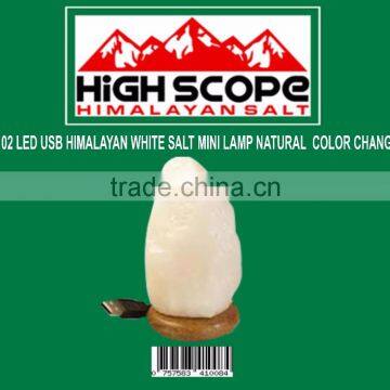 USB POWERED HIMALAYAN WHITE SALT MINI LAMP NATURAL SHAPE COLOR CHAGNING