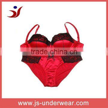 womans high quality plus size bra and panty set