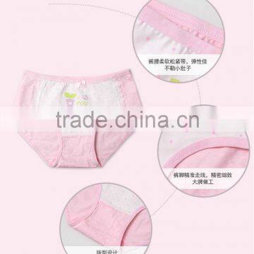 Wholesale 100 % Cotton Print Kids Underwear /Cartoon Print Girl Briefs Kids Underwear photo-4