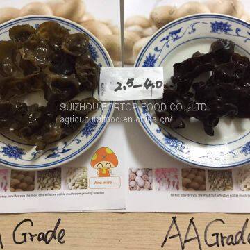 Factory Price Northeast Dried Black Fungus/Auricularia Auricula Grade AA & Grade A (Size:1.8-2.5cm,2.5cm Above) photo-4