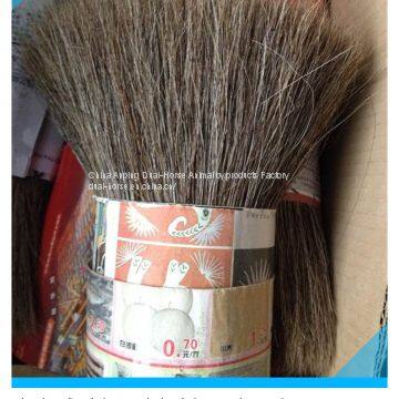 Horse Root Hair