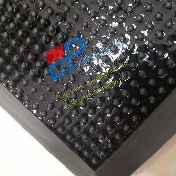 Rubber Disinfection Mat From Qingdao Singreat (Evergreen Properity) photo-4