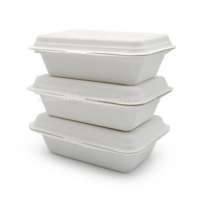 Customizable 450ml 17.5cm Greaseproof and Microwavable Eco Friendly Bagasse Food Containers Biodegradable Lunch Box Disposable photo-2