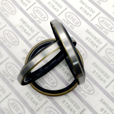 Hydraulic Wiper Seal China Oil Seal Manufacturer Dkb Type Dust Oil Seal Rubber Seal
