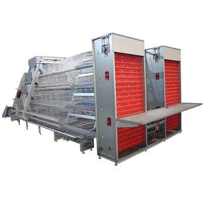 Chicken Cages Poultry Cages Battery Cages