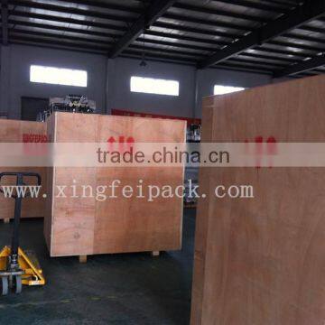 Bottle Wrapping Machines photo-5