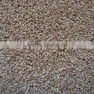 Roasted sesame seeds