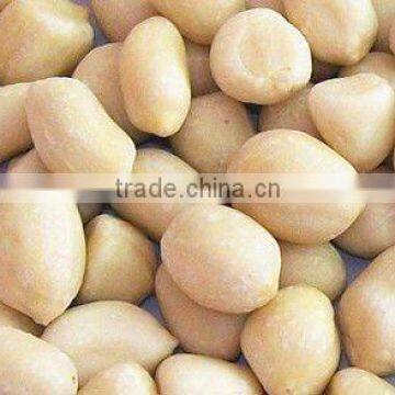 Best price blanched peanut kernels