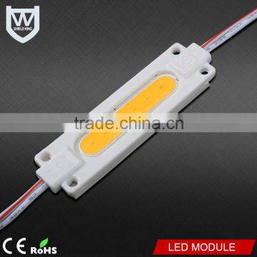 Import Chip Super brightness waterproof Cob Led Module