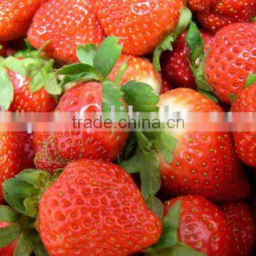 Frozen Strawberry