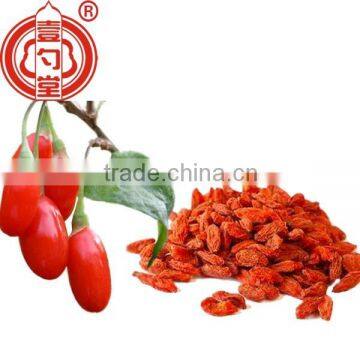 Medicinal edible healthy Goji berries fruit Ningxia medlar Dried Gou Qi Zi Boxthorn fruit