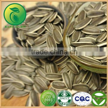 Chinese Food Sunflower Seeds New Product 2016