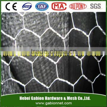 Hot Dipped Galvanized Hexagonal chicken wire