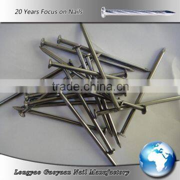 Common Nails/iron Nails/common Wire Nail