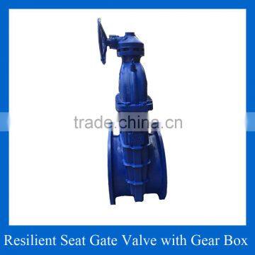 Manual Gear Operated Gate Valve photo-2