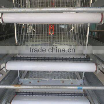 manure conveyor belts for poultry farm cages