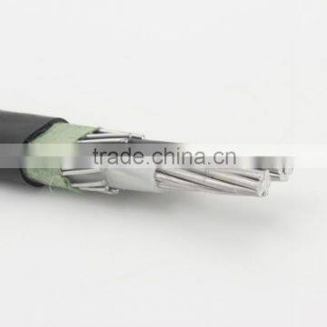The 8000 Series Aluminum Alloy Concentric Cable photo-5